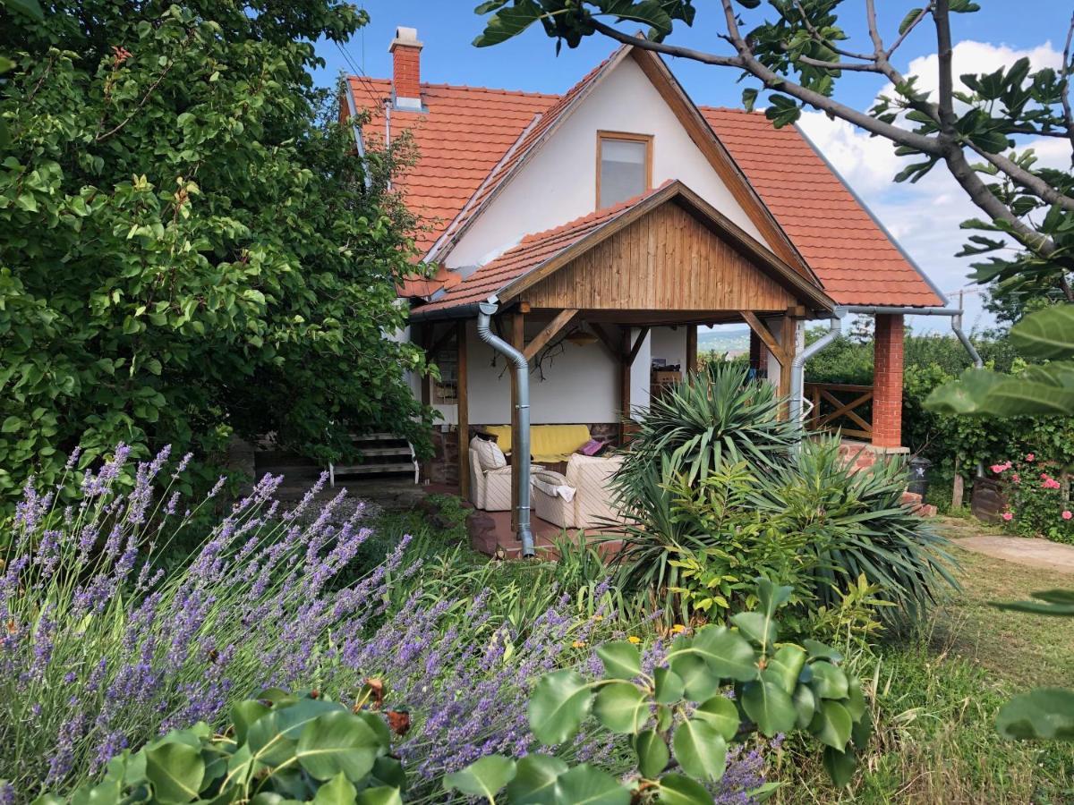 Szoloskert Studio Apartman Ábrahámhegy Zewnętrze zdjęcie