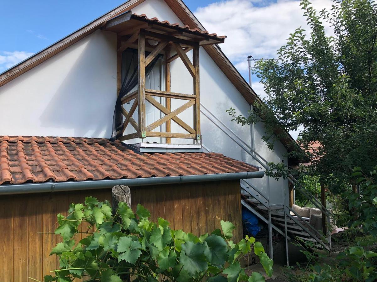 Szoloskert Studio Apartman Ábrahámhegy Zewnętrze zdjęcie